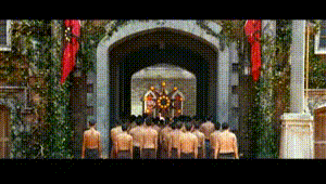 1595556619660172.gif 微信图片_20200724100858.gif